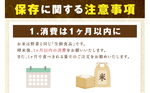 令和6年産 【定期便】《無洗米》 ひのひかり 5kg×12回 999-B695