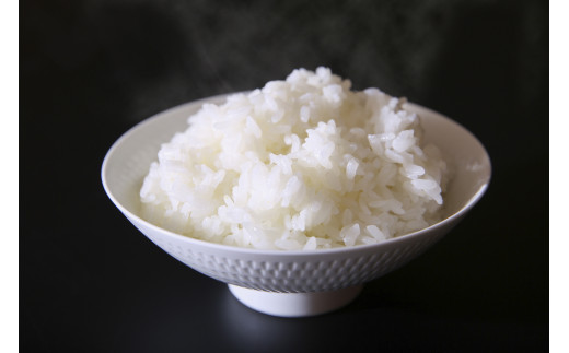 佐賀県産ゆめしずく（特A） 白米4.5kg×6回定期便 999-B828