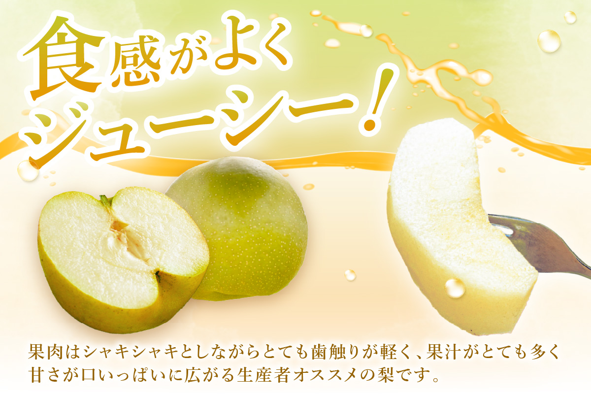 【2026年産先行予約】伊万里梨 「甘太」 約5kg ご自宅用におすすめ 178-B941