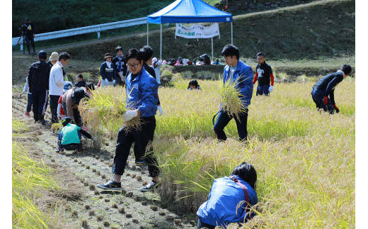 【先着10セット！！】干支の縁起物！畑萬陶苑のぐい呑み&地酒セット 019-E027