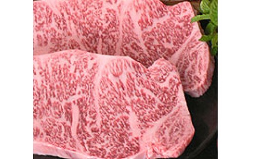 伊万里牛の牛みそ汁40食セット 009-G263