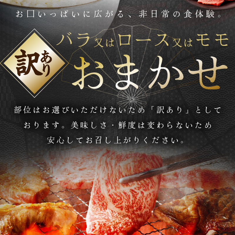 【伊万里牛】 訳あり 焼肉用 バラ・ロース・モモ（ミックス） 1kg （500g×2パック） 小分けパック 001-J1316