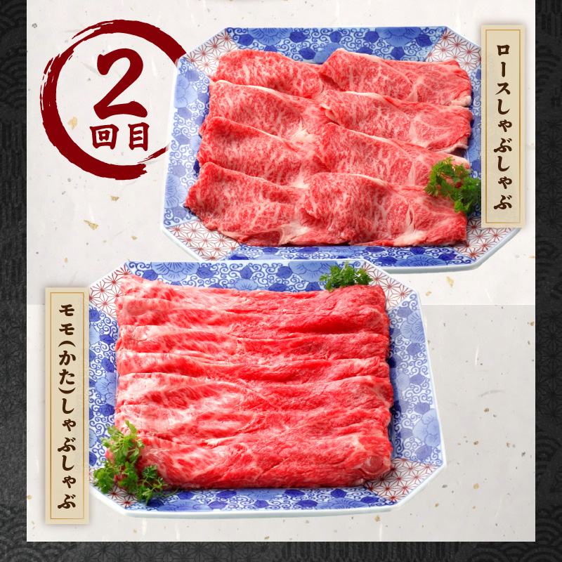 伊万里牛しゃぶしゃぶコース（2回便） 999-J1376