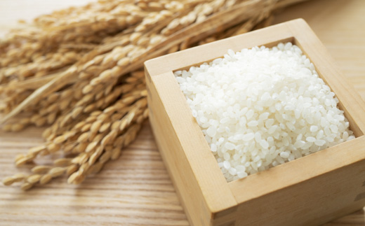 伊万里牛 A5 小間切れ500gとゆめしずく 特A 白米4.5kg 999-J1678