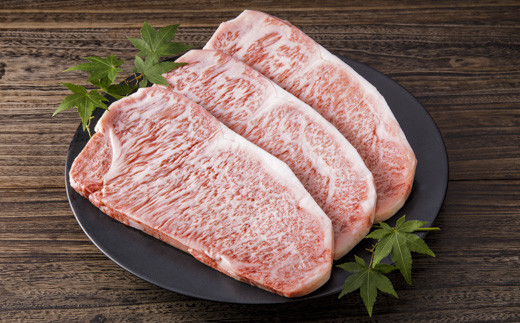 伊万里牛 美味組み合わせ 定期便 【5回便】ステーキ すき焼き 焼肉 999-J616