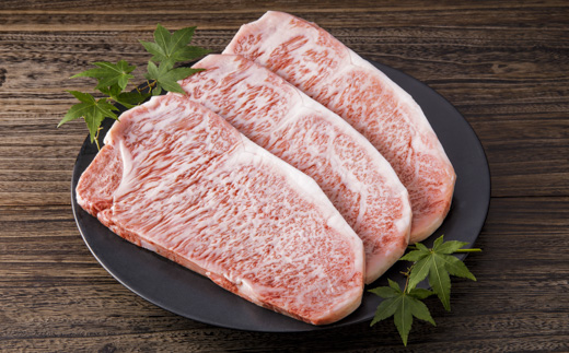 伊万里焼皿付き 伊万里牛 美味 定期便 【5回便】ステーキ すき焼き 焼肉 999-J617