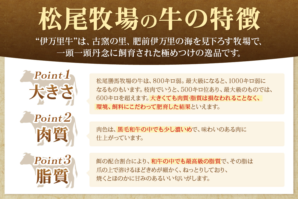 伊万里牛切り落とし 1kg (500g×2) 小分け 007-J1764