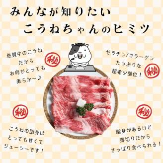 佐賀牛切り落としコウネちゃん600g 161-J787