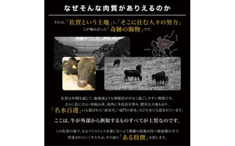 佐賀牛 切り落とし 1kg（ 500g × 2パック） 161-J880