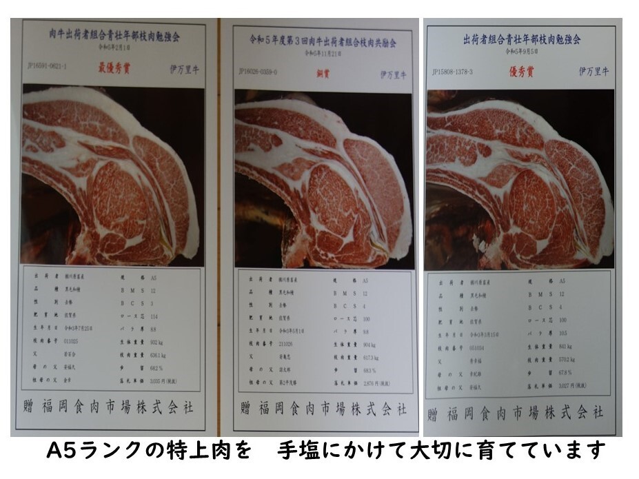 特選伊万里牛A5 肩ローススライス500g 176-J984