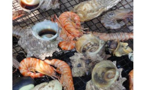 波多津の町おこしに参加ください！【思いやり型返礼品（協賛型）】 103-O003