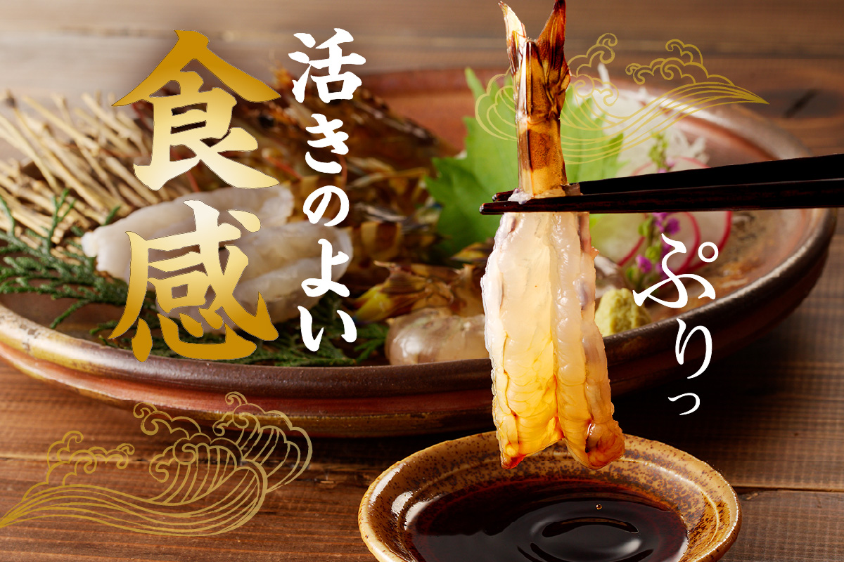 活車海老 500g 指定日可能【数量限定 先行予約】（12月1日から配送開始） 010-C179