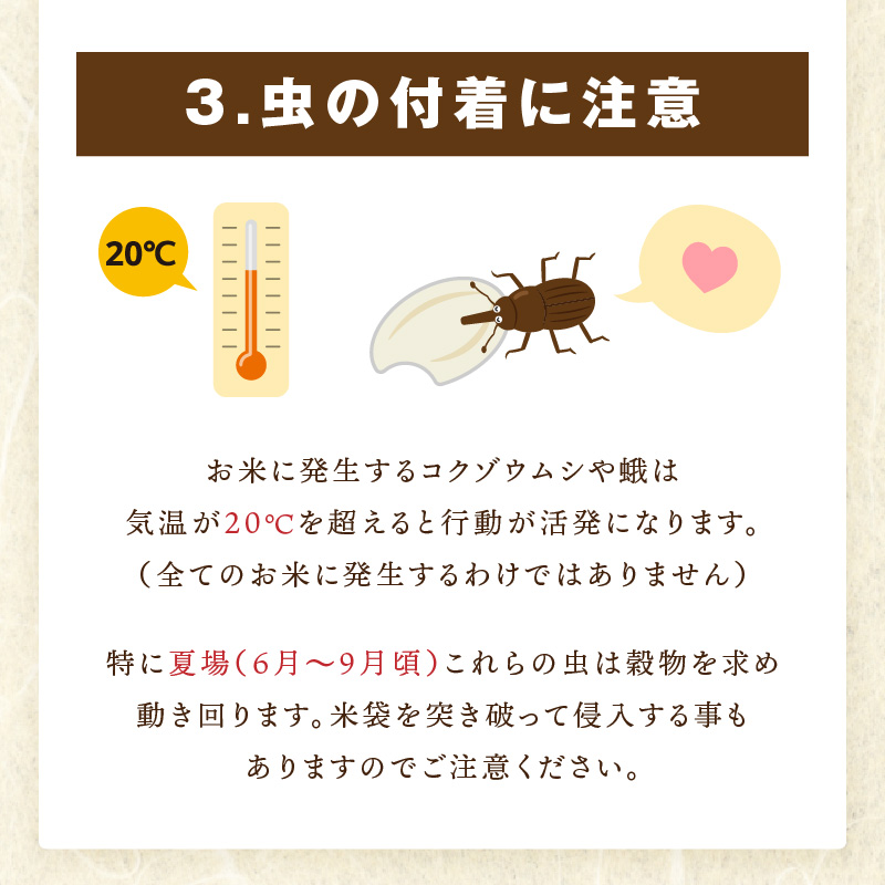 伊万里産 がばいＵ米(うまい) ブレンド米 【無洗米】5kg お米マイスター厳選 086-B949