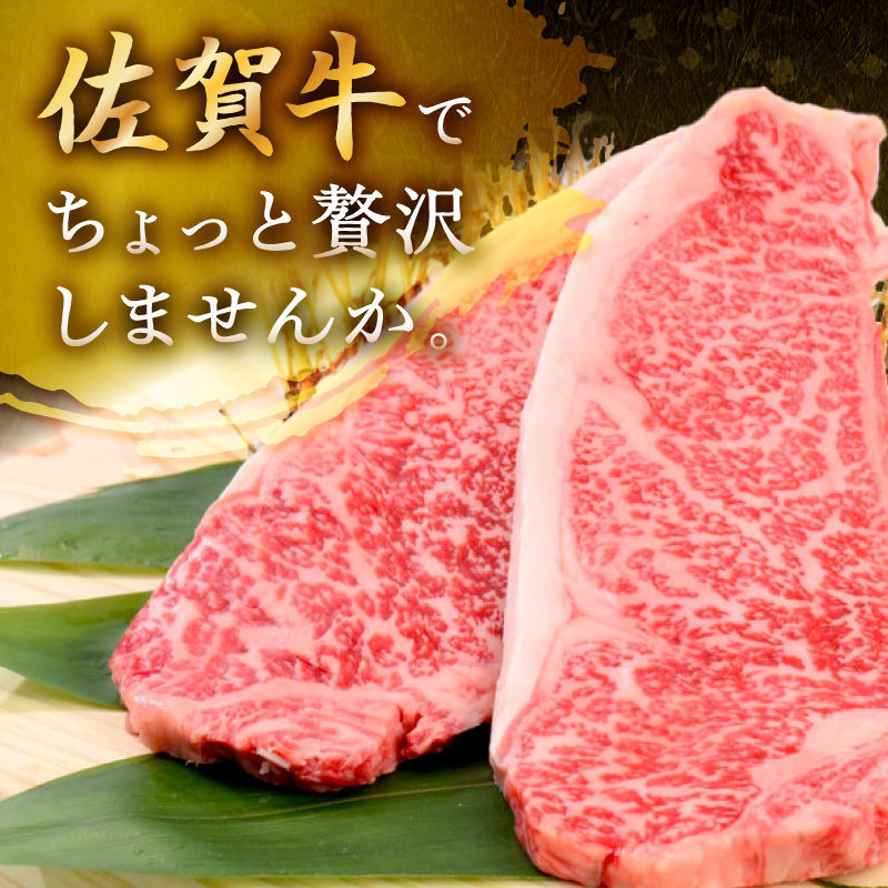 佐賀牛 サーロインステーキ 400g(200g×2) 149-J1818