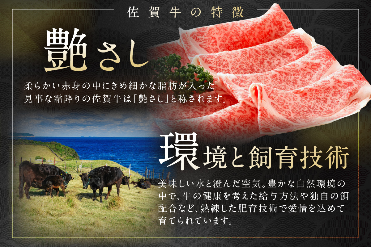 佐賀牛 ヒレステーキ 400g（200g×2枚） 189-J1421