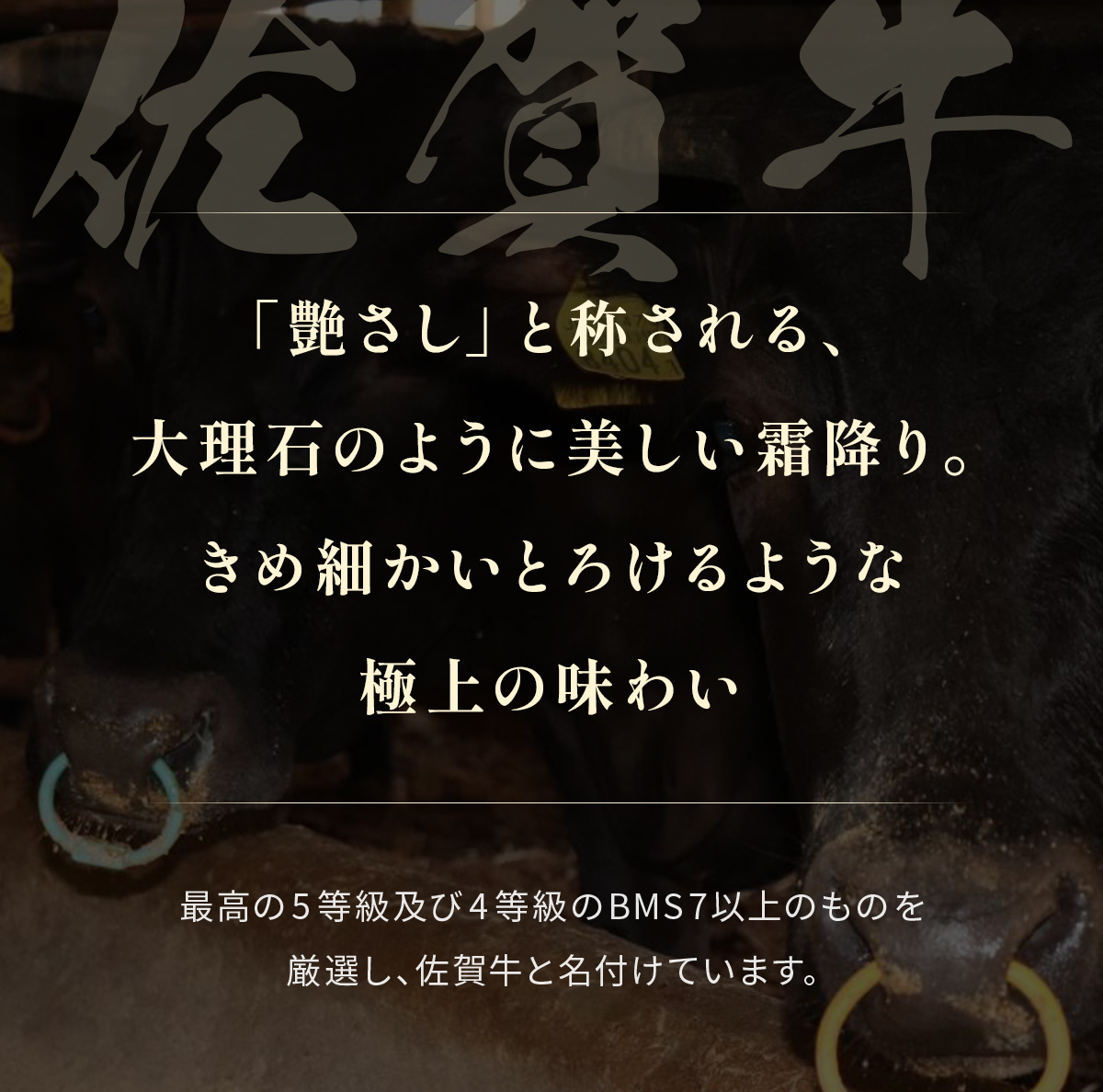 【和牛セレブ】佐賀牛 サ―ロインステーキ 200g×3枚 198-J1409