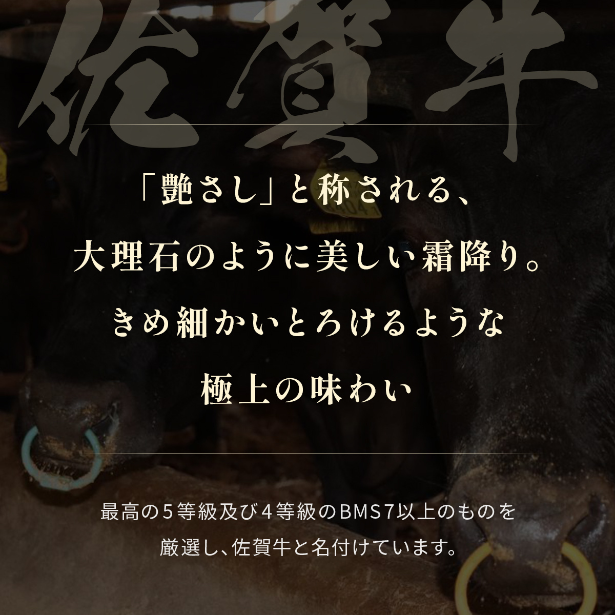 【和牛セレブ】佐賀牛 サーロインステーキ 200g×4枚 198-J1410