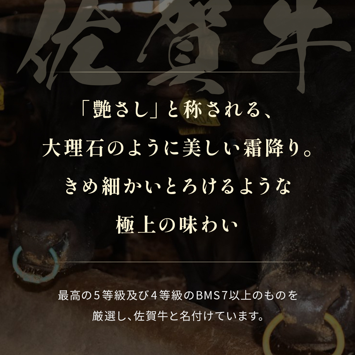 【和牛セレブ】佐賀牛 サーロインステーキ 200g×5枚 198-J1411