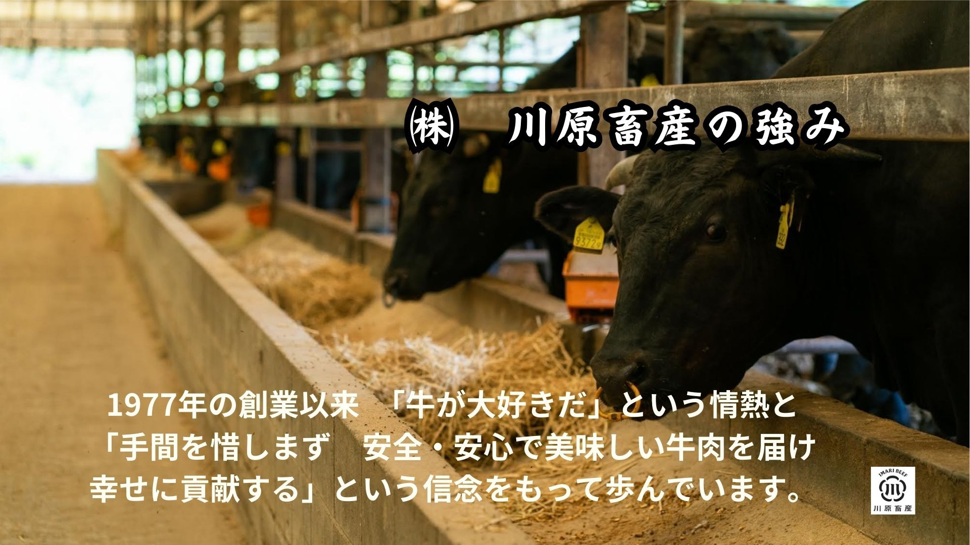 伊万里牛切落とし 600g 【川原畜産】 208-J1680