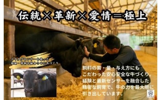 伊万里牛肩ロース薄切り 600g 【川原畜産】 208-J1683