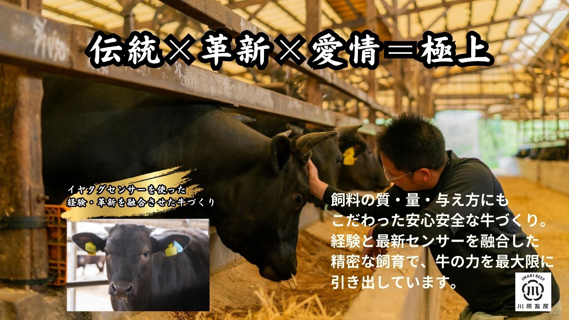 伊万里牛肩ロース薄切り 600g 【川原畜産】 208-J1683