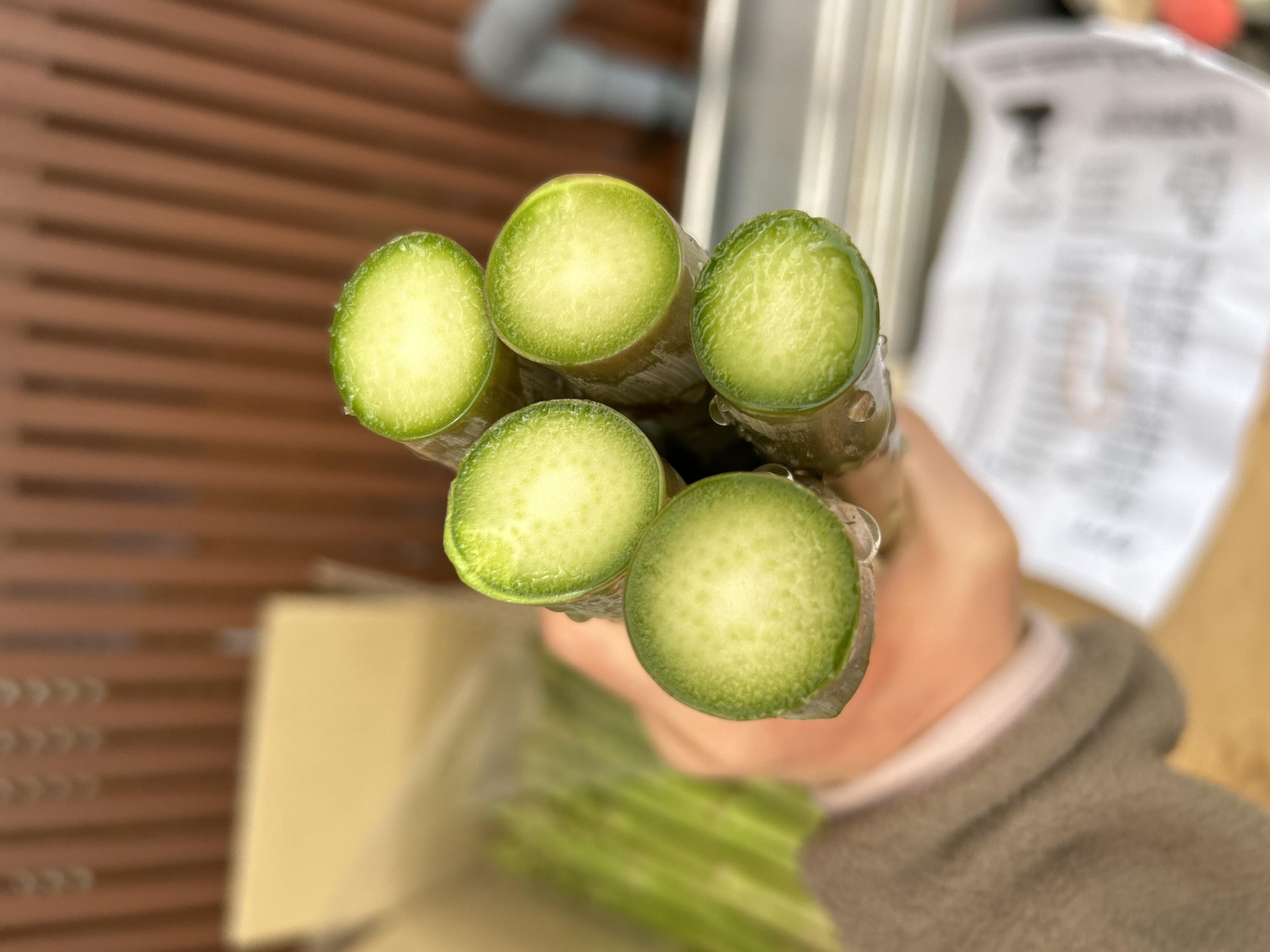 【先行受付　令和8年3月より順次発送】野菜ソムリエサミット『金賞』受賞、自噴水と寒暖差が育んだアスパラ定期便1ｋｇ×10回 999-B855