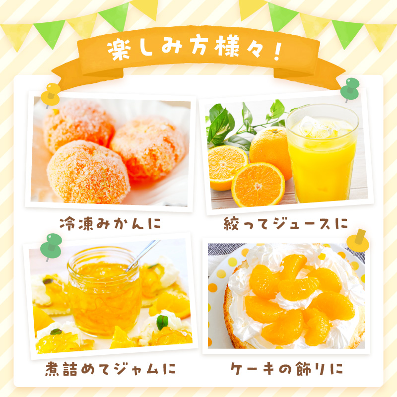 佐賀産 柑橘定期便 満喫セット【全3回】 せとか はまさき デコポン 999-B860