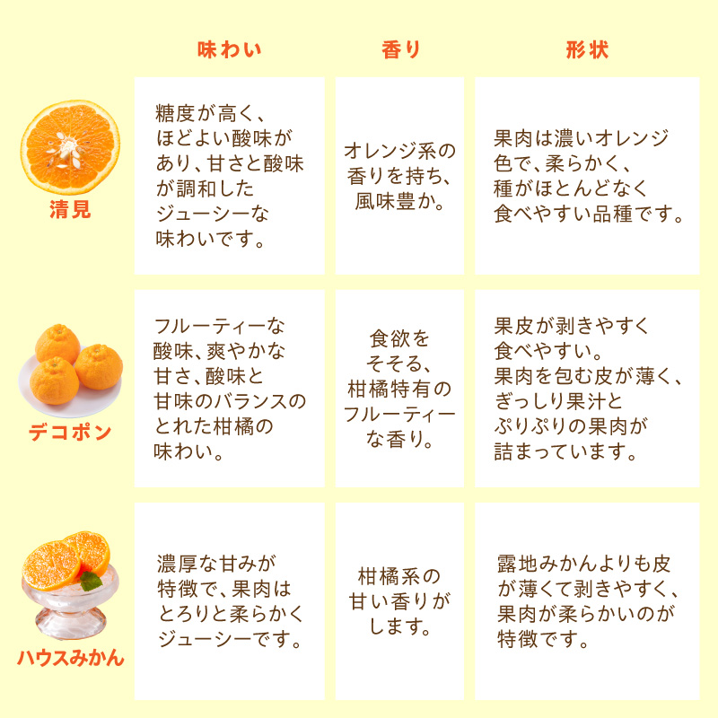 佐賀産 柑橘6種定期便 満喫セット【全6回】999-B862