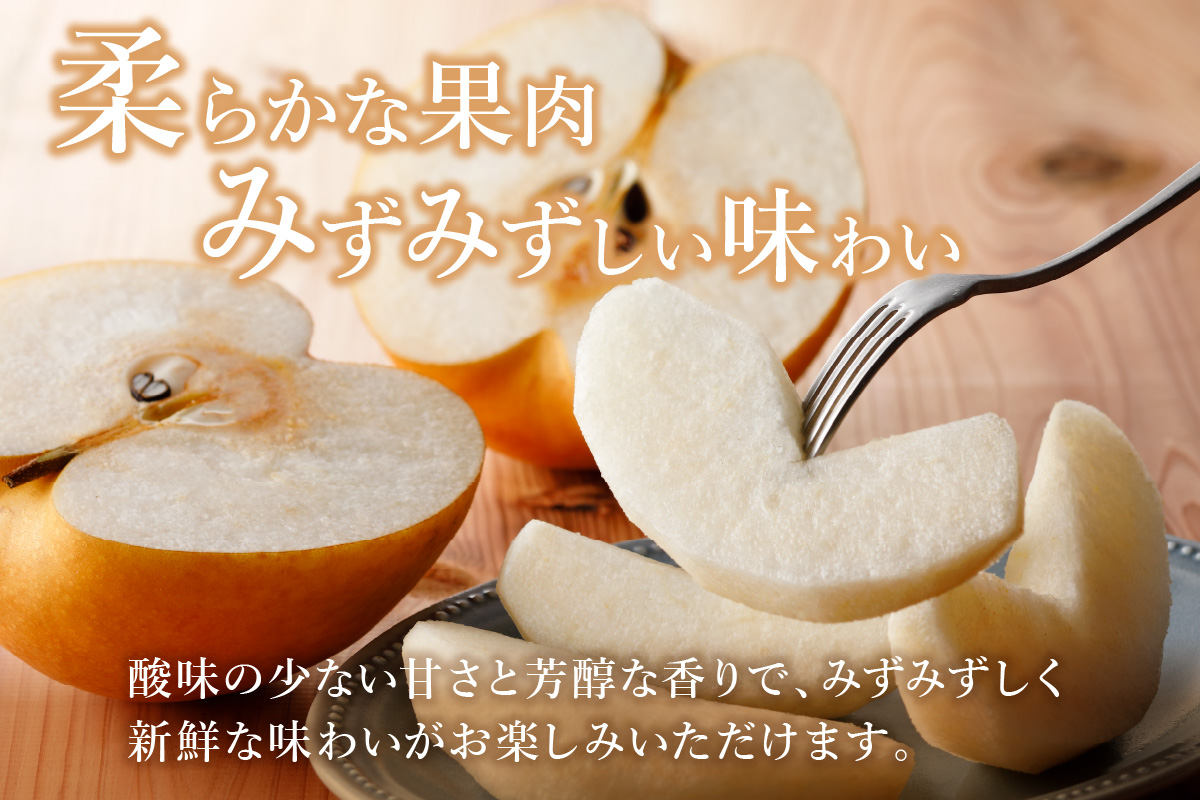 【2026年産先行予約】伊万里梨「新高」 5kg 大型種 178-B942