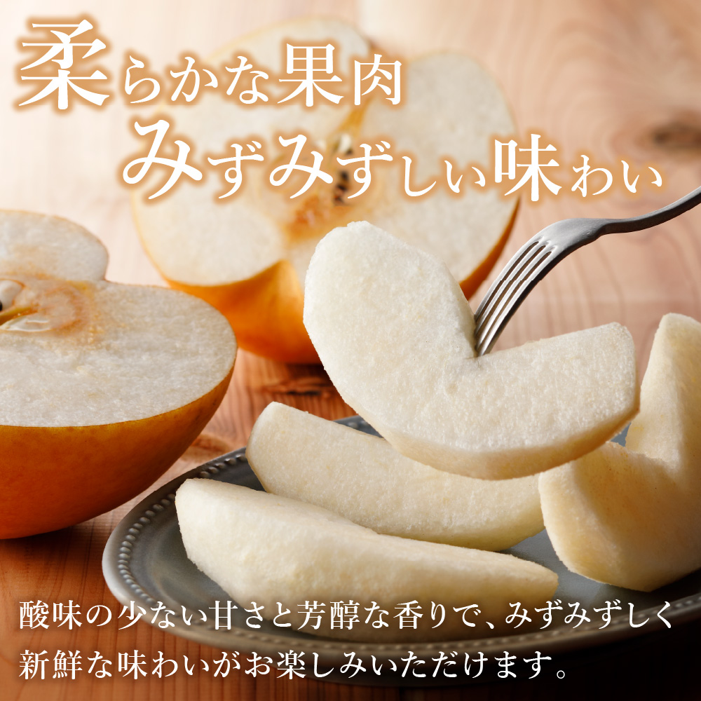 【2026年産先行予約】伊万里梨「新高」 5kg 大型種 178-B942