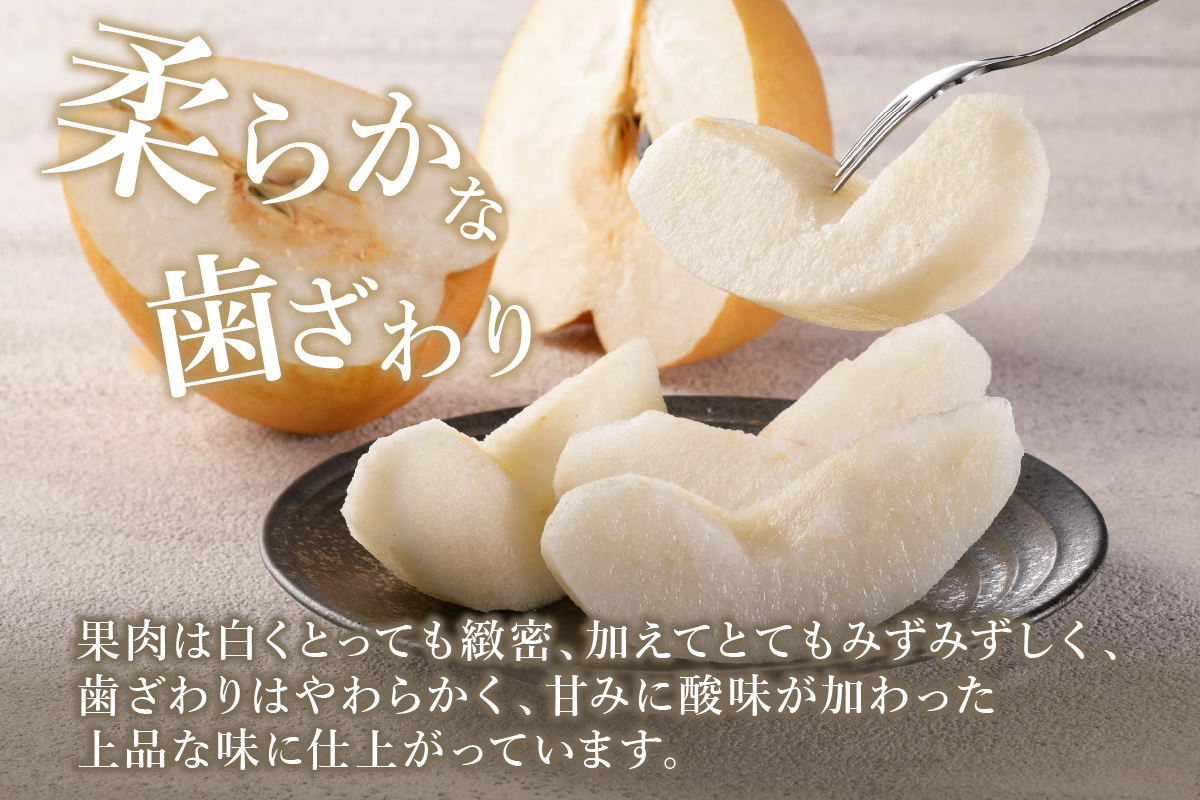 【2026年産先行予約】伊万里梨「王秋」 約5kg 178-B943