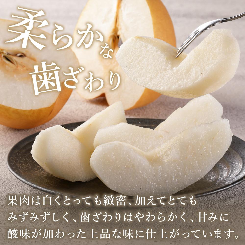 【2026年産先行予約】伊万里梨「王秋」 約5kg 178-B943