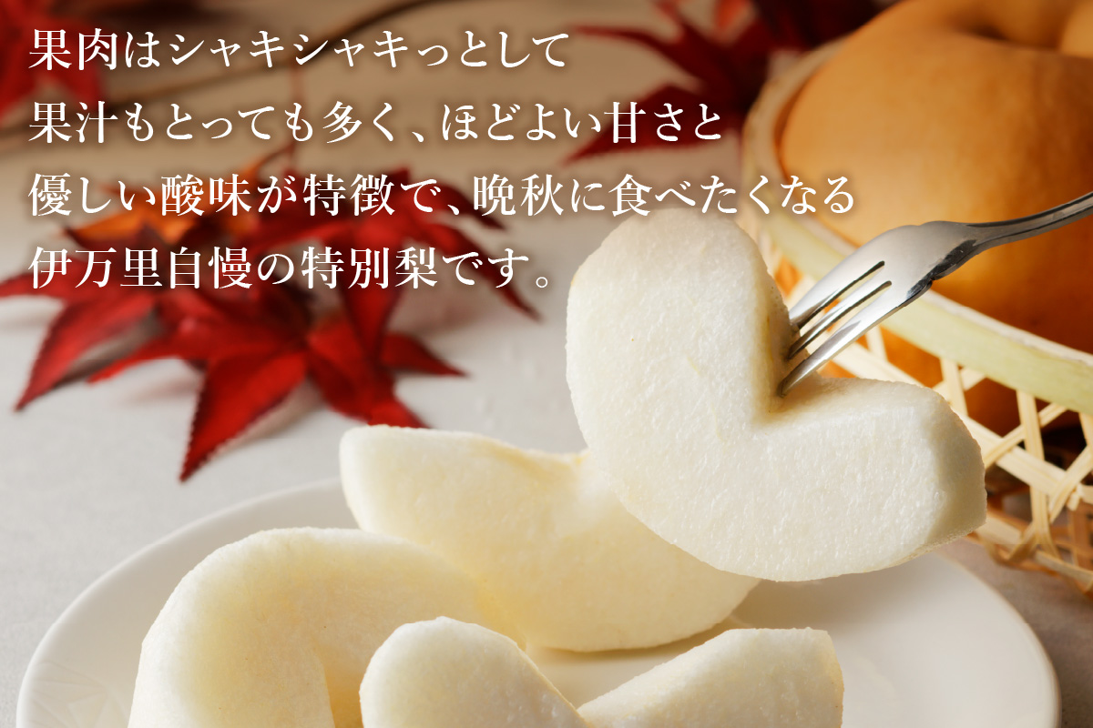 【2026年産先行予約】伊万里梨 「愛宕」 約5kg 大型種 178-B944