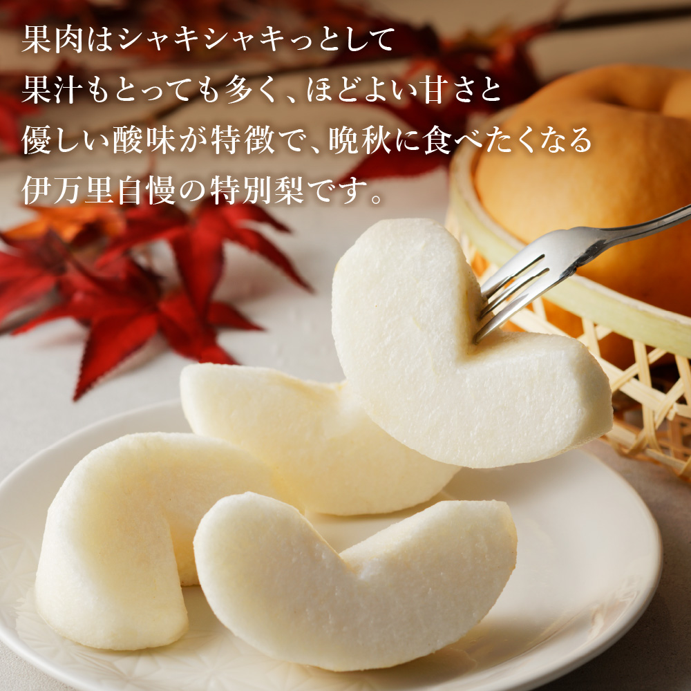 【2026年産先行予約】伊万里梨 「愛宕」 約5kg 大型種 178-B944