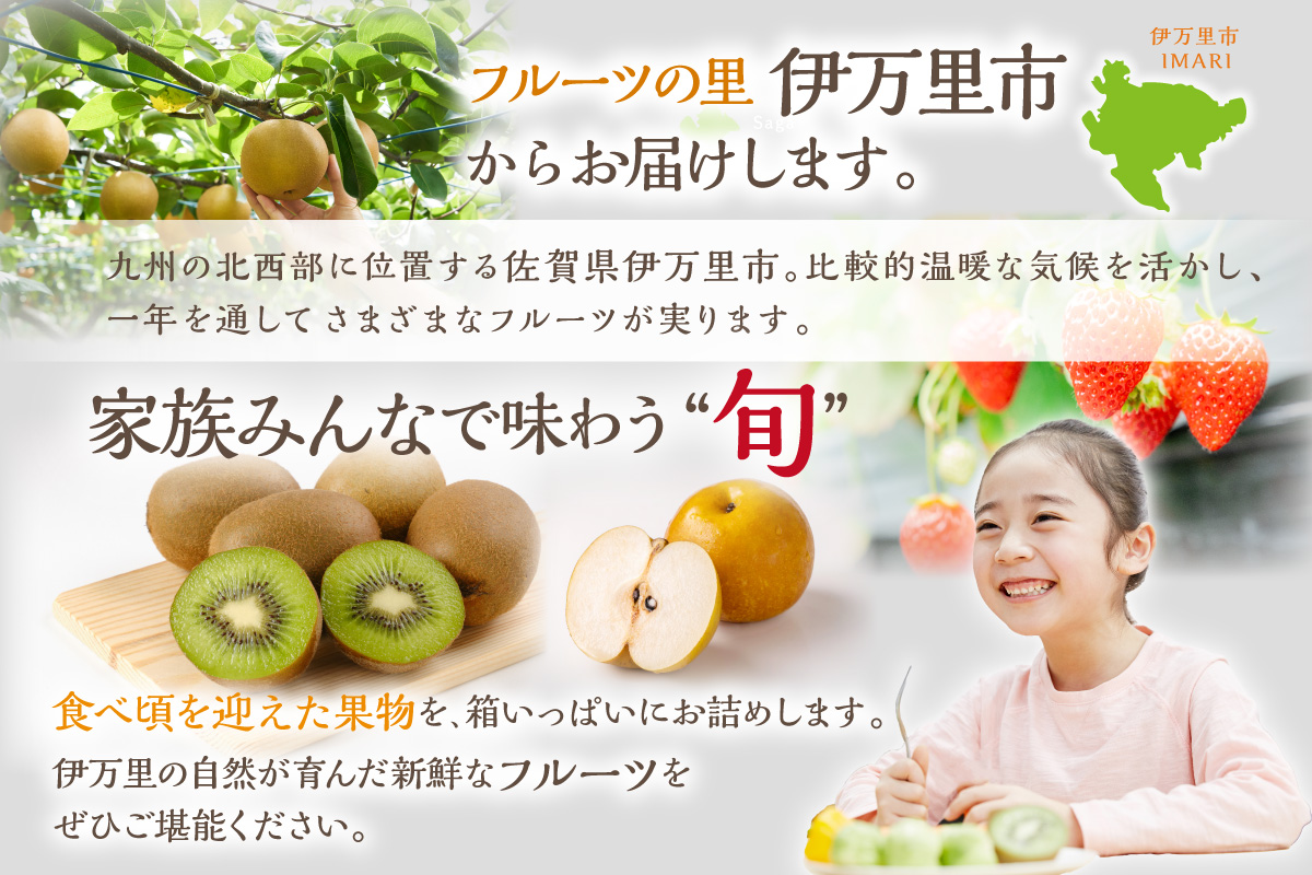 フルーツ定期便【10回便】彩 いちご もも みかん等 10種類 999-B990