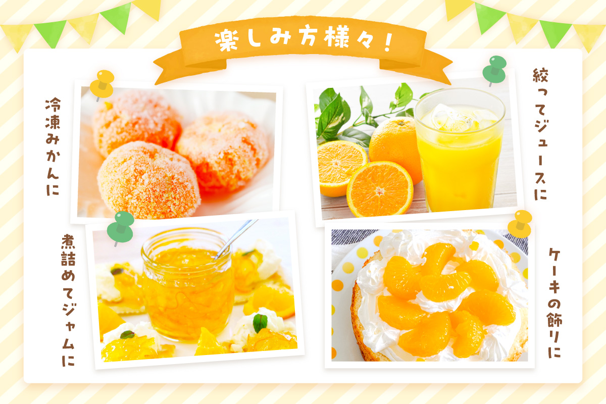 佐賀の旬の柑橘をお届け 佐賀産かんきつ5kg 147-B397