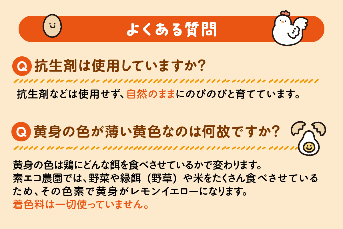 平飼いで のびのび養鶏！ばあちゃんの昔たまご（計60個）平飼い卵 割れ保証あり 129-B613