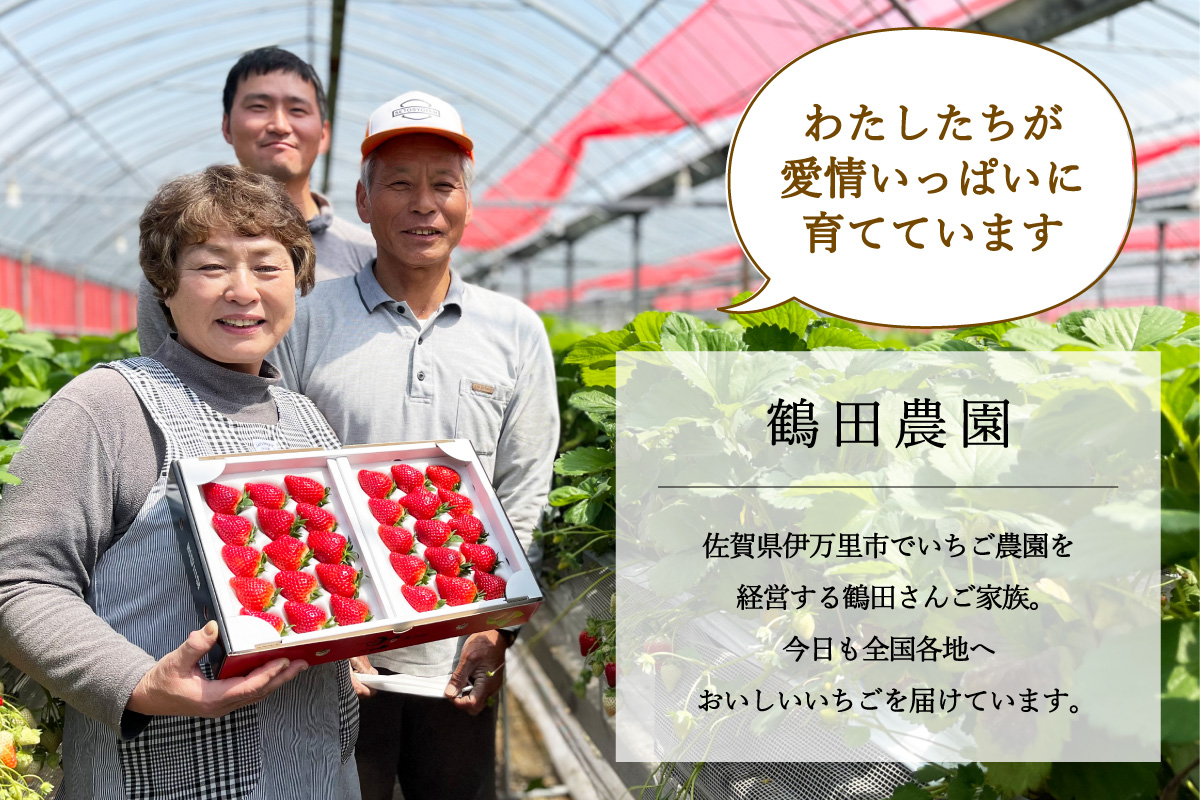 【先行予約】伊万里産 特選「いちごさん」 450g 以上× 2パック ～鶴田農園～ 046-B833