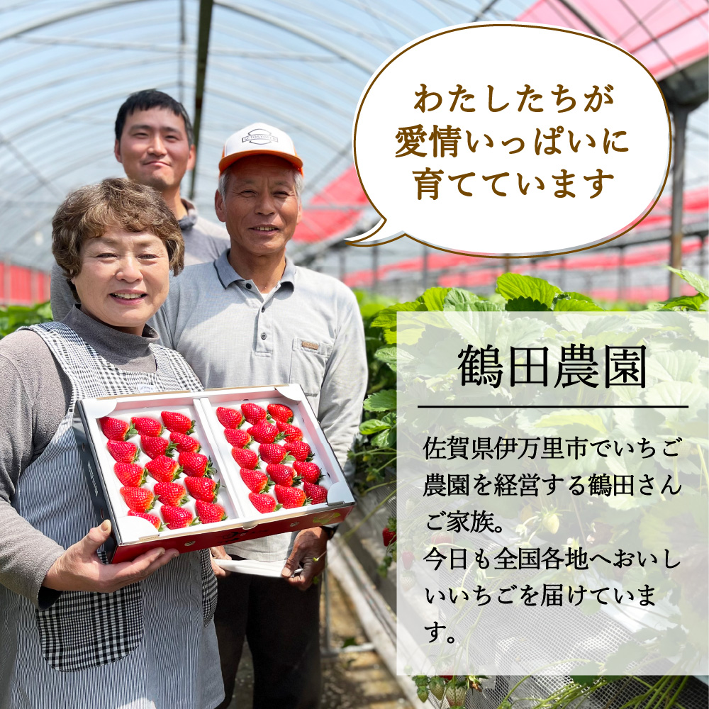 【先行予約】伊万里産 特選「いちごさん」 450g 以上× 2パック ～鶴田農園～ 046-B833