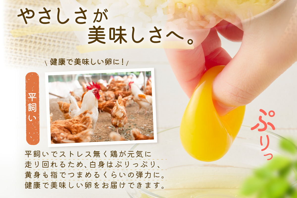 【3回定期便】平飼いで のびのび！ばあちゃんの昔たまご 20個/月 割れ保証あり 999-B615