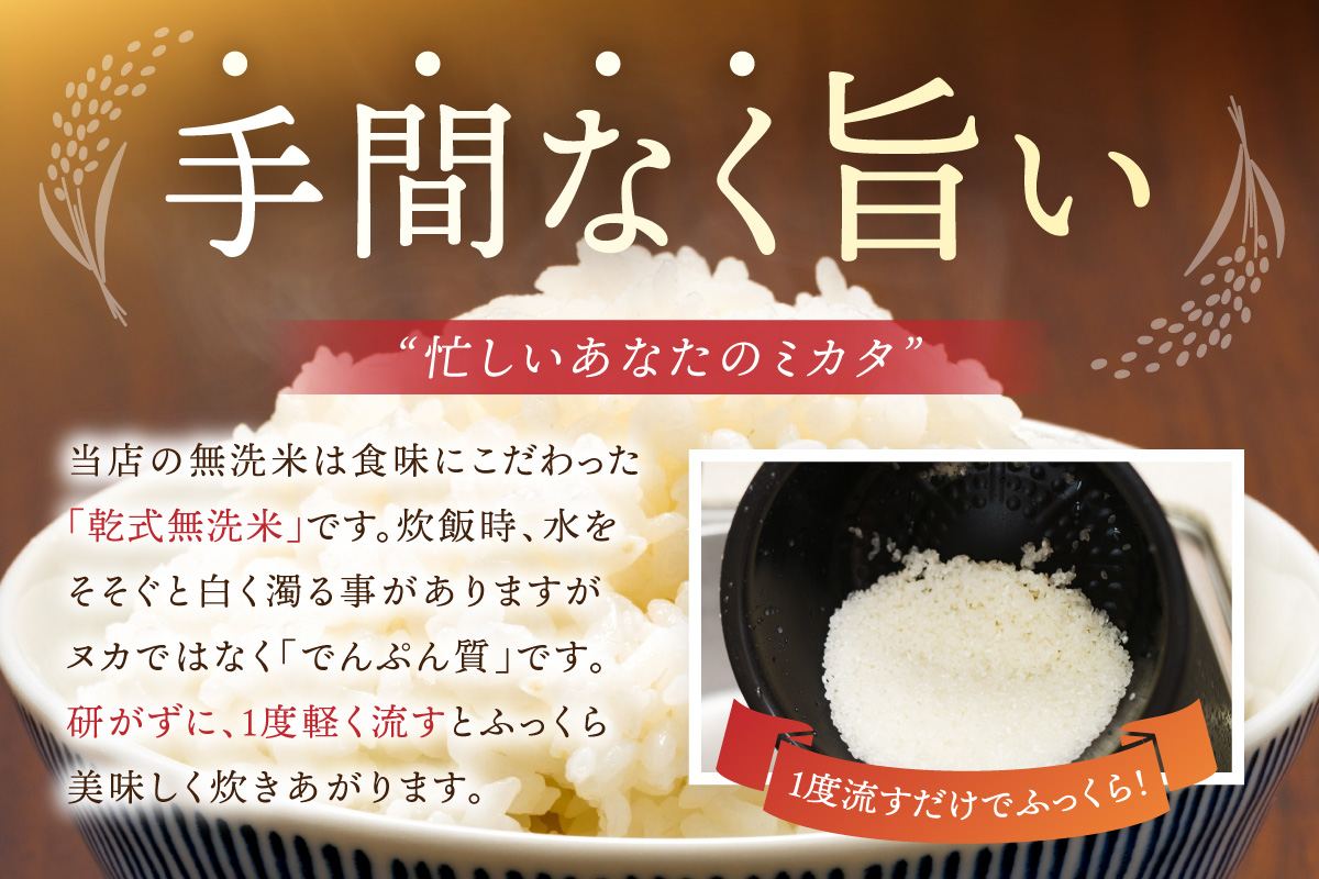 令和7年産 【定期便】《無洗米》さがびより ５kg×６回　999-B790