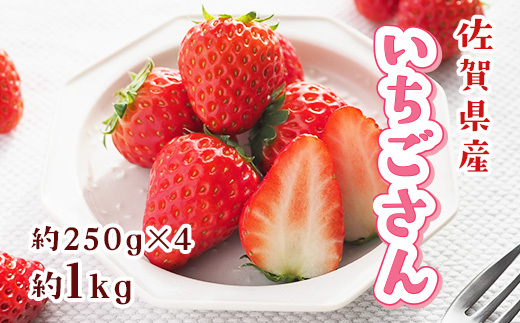佐賀県産 いちごさん 合計約1kg 250g×4パック 苺 いちご イチゴ 114-B1014