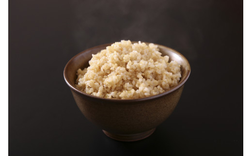 佐賀県産ゆめしずく（特A） 玄米5kg×3回定期便 999-B827