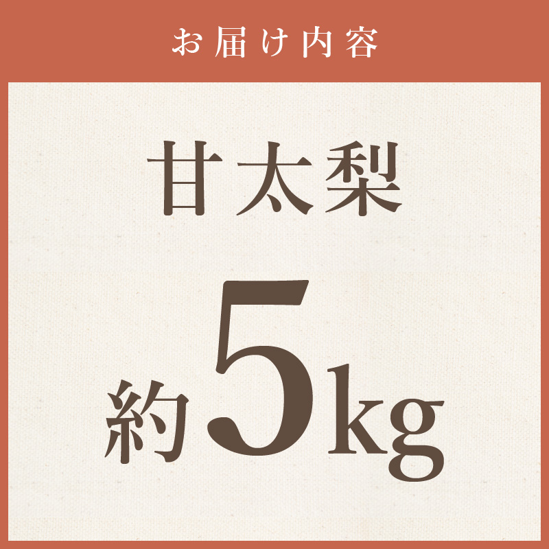 【2026年産先行予約】伊万里梨 「甘太」 約5kg ご自宅用におすすめ 178-B941