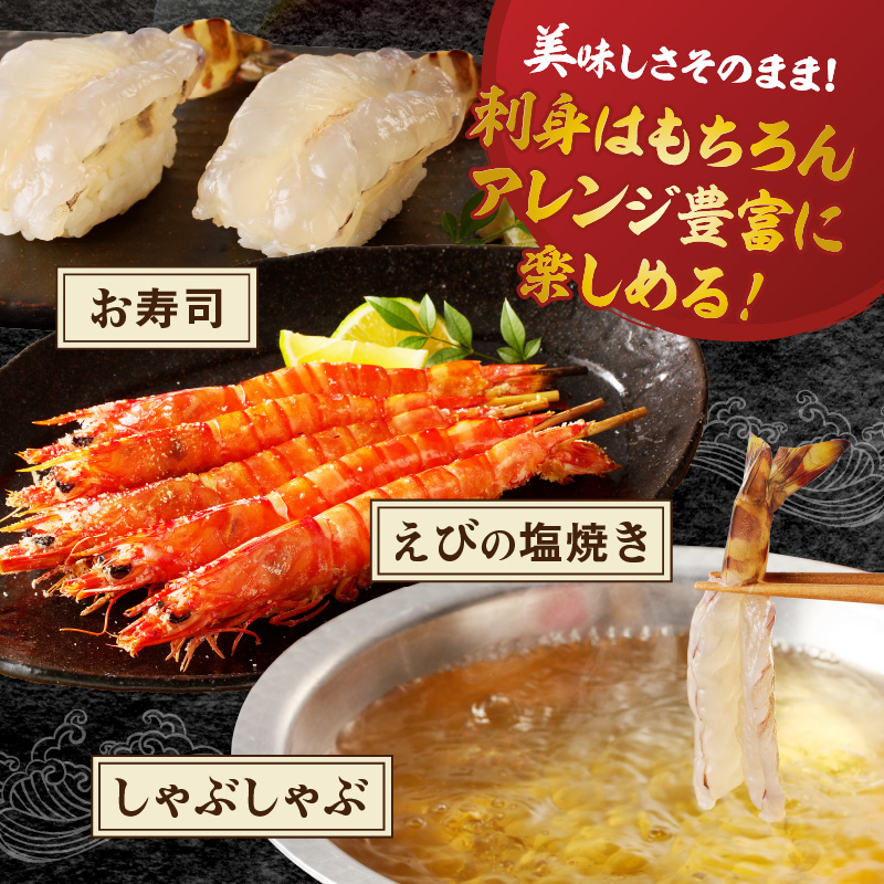 伊万里産 お刺身用冷凍ジャンボ車海老（250g×2） 010-C166