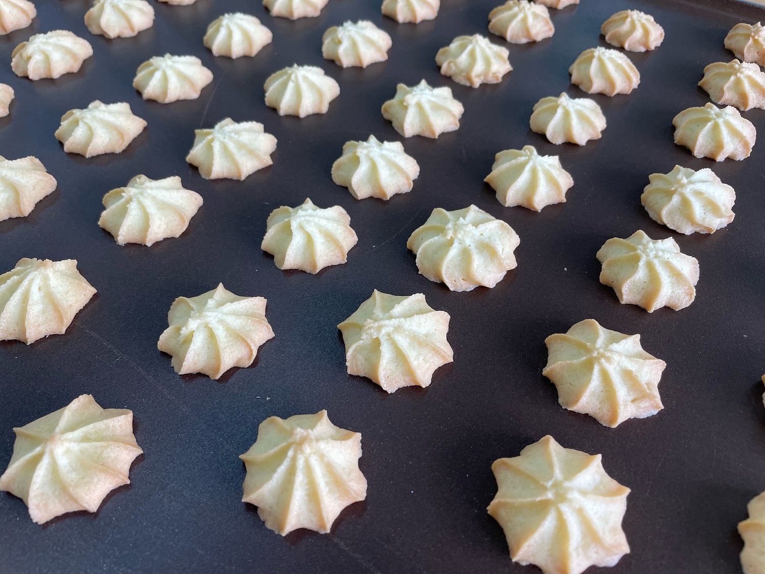 小麦の家手作りクッキー（自然派）13種入り【思いやり型返礼品】 066-F231