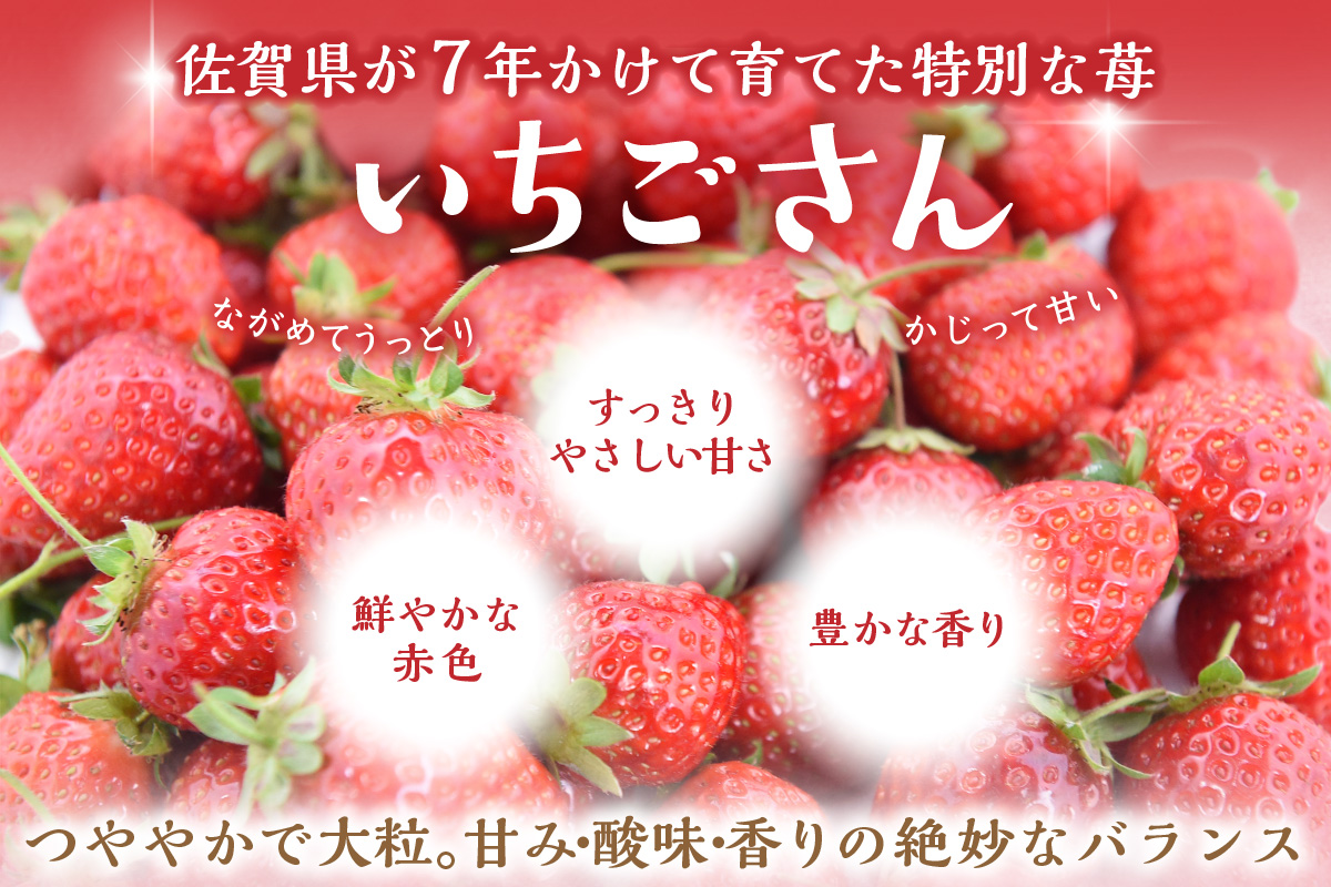 佐賀県産ブランド”いちごさん”使用 苺プリン6個入｜佐賀・伊万里 080-F261