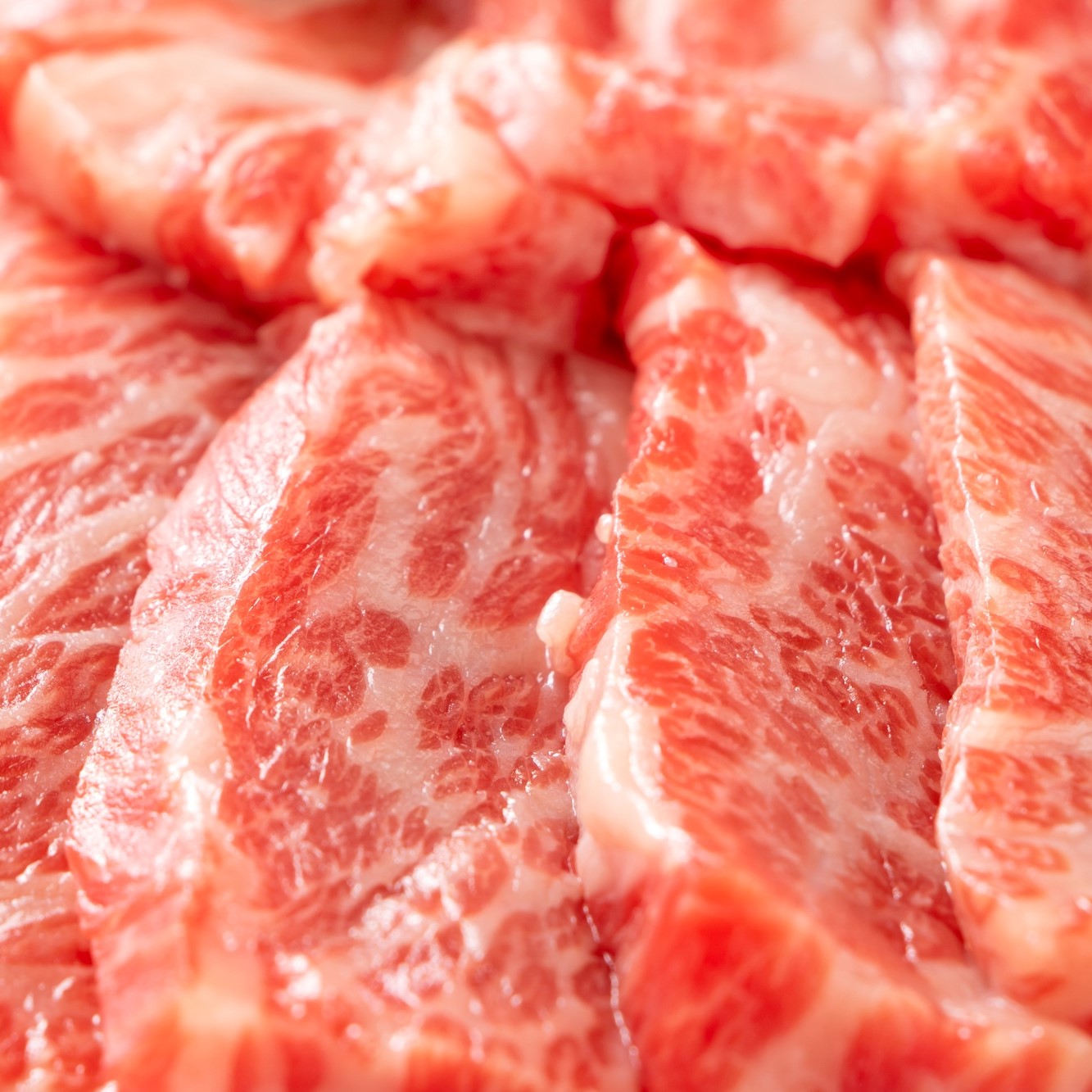 【 佐賀牛 】 訳あり！ 艶さし！ 焼肉 切り落とし 1kg（500g×2Ｐ） 159-J1037