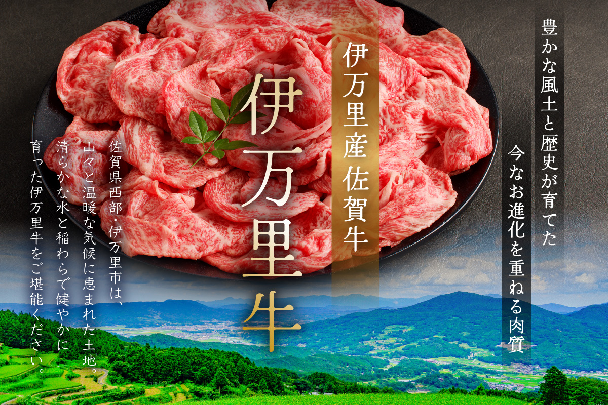 モモ肉を厳選！ 伊万里牛 サイコロステーキ 600g 061-J1860