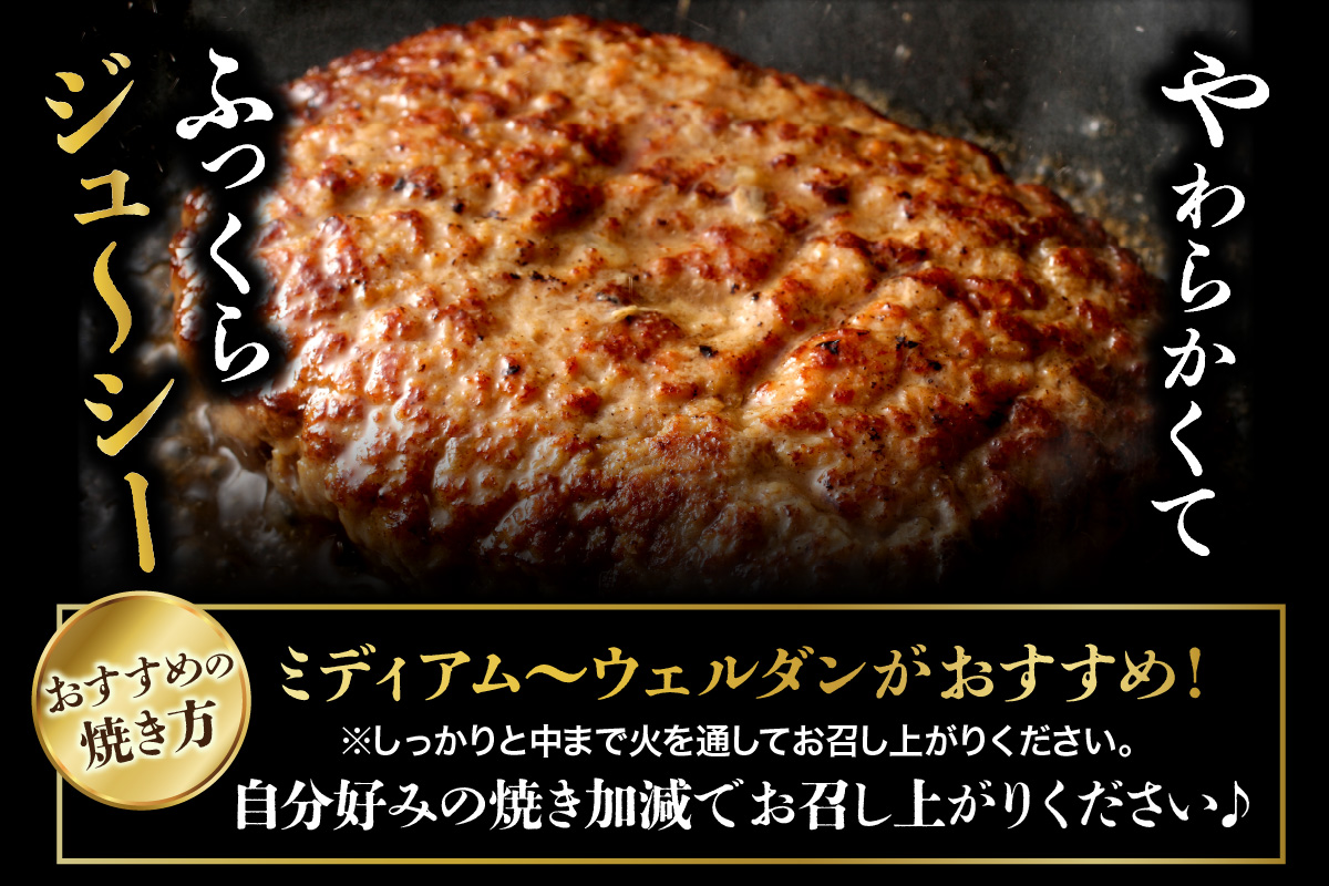 佐賀牛入り 熟成 ハンバーグ 約120g×20個 179-J1885